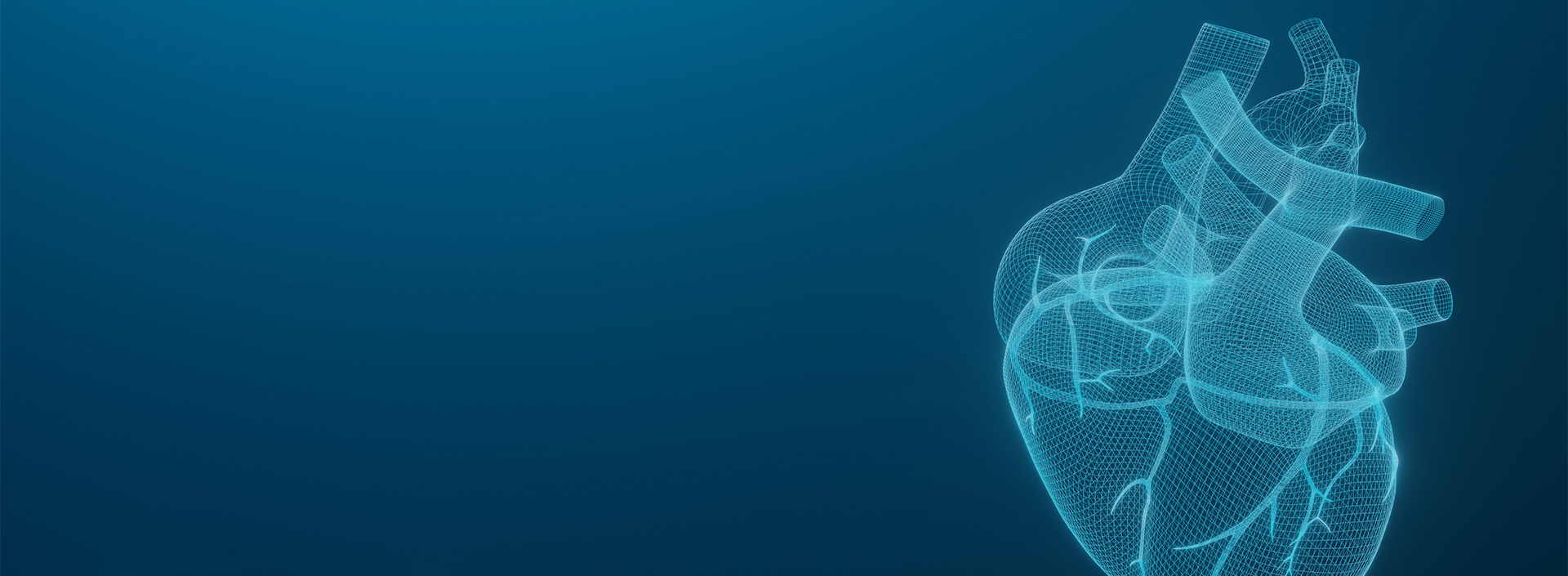 slider_img